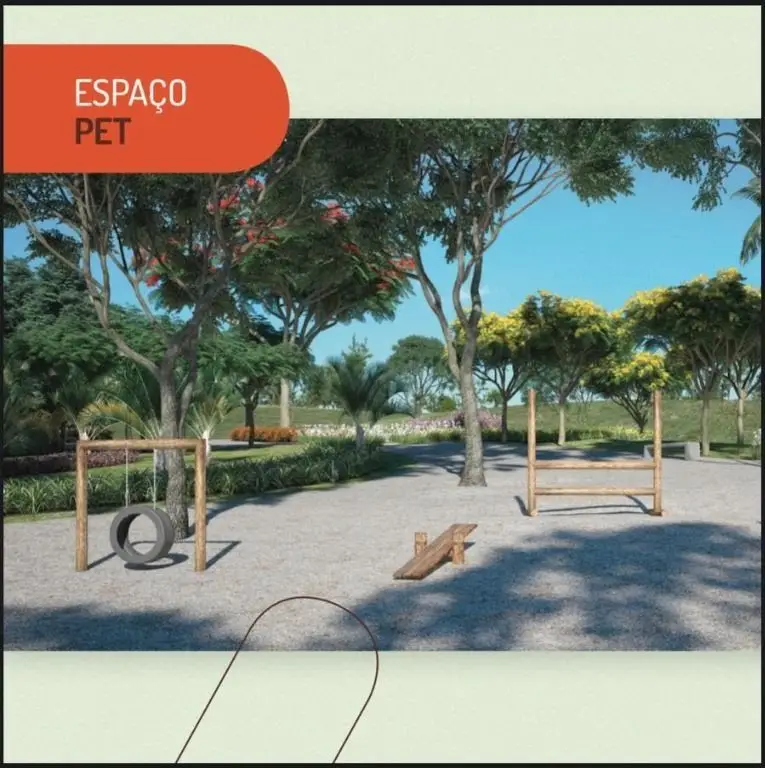 espaço pet - vivejo